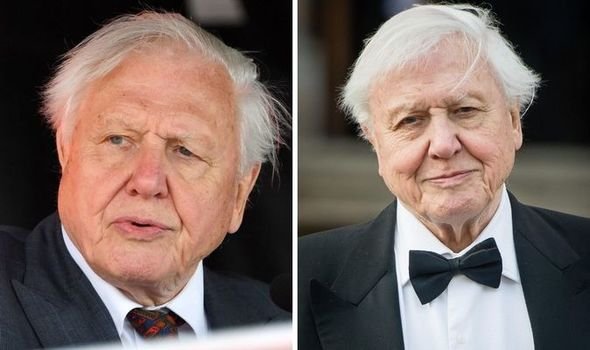 The Remarkable Legacy of Robert Attenborough: A Deep Dive